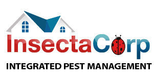 Client1
