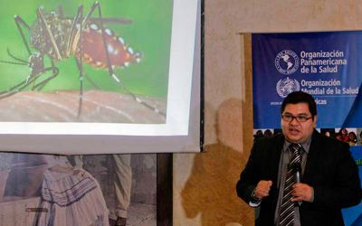 Mayaro, otro virus que transmite el Aedes aegypt