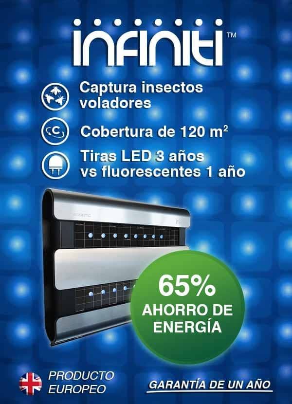 Infiniti informativo