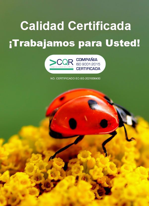 Calidad ISO
