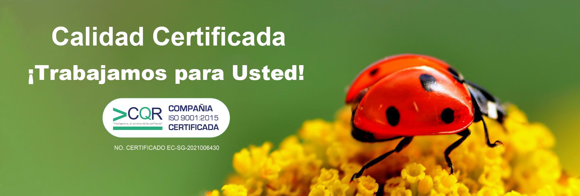 Calidad ISO